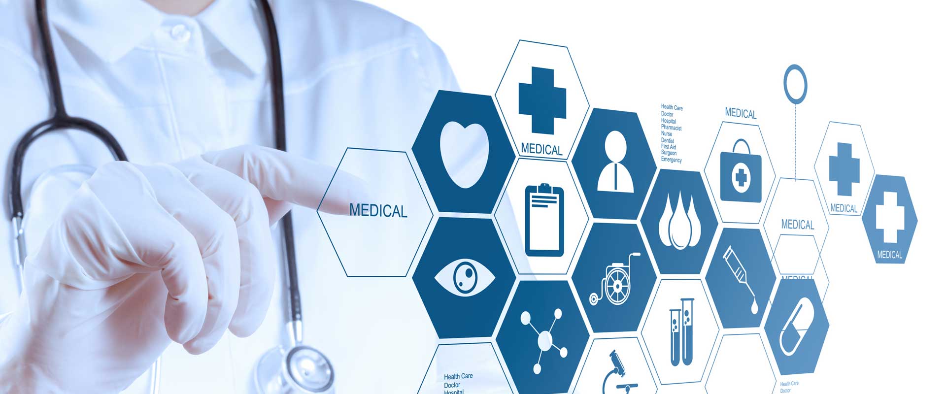  education consultants guidance for bihar student credit card